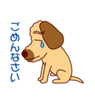 日常会話をするダップー（個別スタンプ：30）