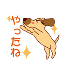 日常会話をするダップー（個別スタンプ：34）