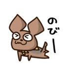 うちの犬、ふうた（個別スタンプ：11）