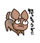 うちの犬、ふうた（個別スタンプ：19）