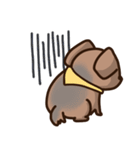 うちの犬、ふうた（個別スタンプ：20）