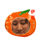 THE JAPANESE MIKAN BOY type 2nd（個別スタンプ：7）