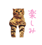 困り顔コマちゃん（個別スタンプ：5）