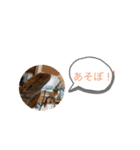 もみじさんのスタンプ（個別スタンプ：8）
