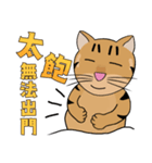 Tabby Milktea Cat II（個別スタンプ：12）