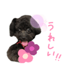 ぷっしゃん      No.3（個別スタンプ：7）