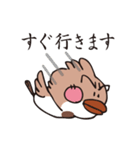 やさぐれスズメ（個別スタンプ：1）