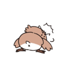 やさぐれスズメ（個別スタンプ：11）
