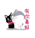 猫家族07 木木とおじさん小黒猫-日常会話（個別スタンプ：15）