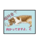 みー太郎の日常、第3弾！（個別スタンプ：4）