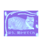 みー太郎の日常、第3弾！（個別スタンプ：6）