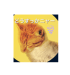 みー太郎の日常、第3弾！（個別スタンプ：7）