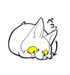 ねこぬっこねこ（個別スタンプ：36）