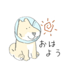 エリザベスカラーわんこ（個別スタンプ：1）