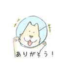 エリザベスカラーわんこ（個別スタンプ：3）