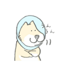 エリザベスカラーわんこ（個別スタンプ：11）