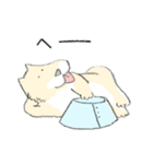 エリザベスカラーわんこ（個別スタンプ：13）