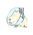 エリザベスカラーわんこ（個別スタンプ：17）
