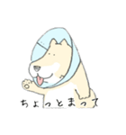 エリザベスカラーわんこ（個別スタンプ：20）
