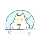エリザベスカラーわんこ（個別スタンプ：22）