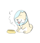 エリザベスカラーわんこ（個別スタンプ：28）