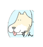 エリザベスカラーわんこ（個別スタンプ：30）