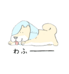 エリザベスカラーわんこ（個別スタンプ：31）