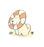 エリザベスカラーわんこ（個別スタンプ：37）