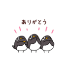 毎日使えるペンギンズ（個別スタンプ：3）