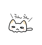 めんねこ（個別スタンプ：5）