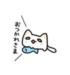 めんねこ（個別スタンプ：11）
