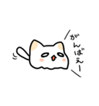 めんねこ（個別スタンプ：15）