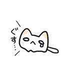 めんねこ（個別スタンプ：20）