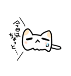 めんねこ（個別スタンプ：22）