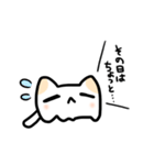 めんねこ（個別スタンプ：24）