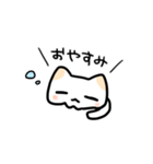 めんねこ（個別スタンプ：34）