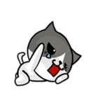 無口な猫。（個別スタンプ：2）