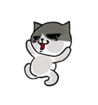 無口な猫。（個別スタンプ：3）