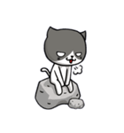 無口な猫。（個別スタンプ：7）