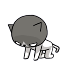無口な猫。（個別スタンプ：8）