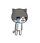 無口な猫。（個別スタンプ：9）