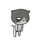無口な猫。（個別スタンプ：12）