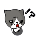 無口な猫。（個別スタンプ：14）