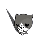 無口な猫。（個別スタンプ：16）