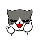 無口な猫。（個別スタンプ：17）