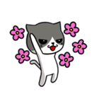 無口な猫。（個別スタンプ：19）