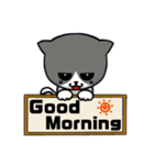 無口な猫。（個別スタンプ：22）