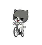 無口な猫。（個別スタンプ：27）