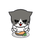 無口な猫。（個別スタンプ：31）