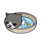 無口な猫。（個別スタンプ：32）